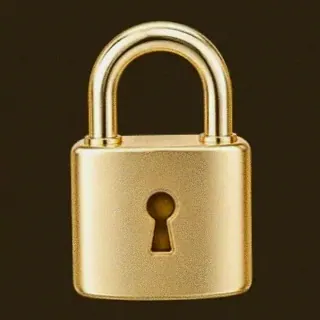 Metal padlock — Winshark