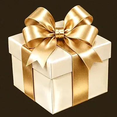 Ribboned gift box — Winshark