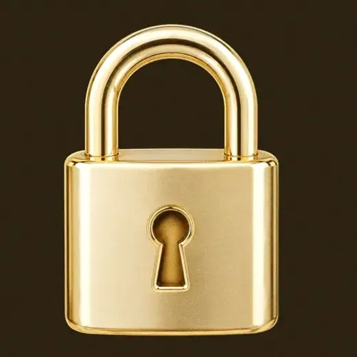 Metal padlock — Winshark